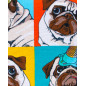PONCHO KIDS DOGGY