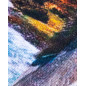 HORSE PRINTED TOWEL
