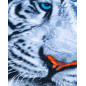 TOALLA ESTAMPADA TIGRE BLANCO