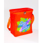 SMALL FOLDING BAG COOLER ORANGE  6L